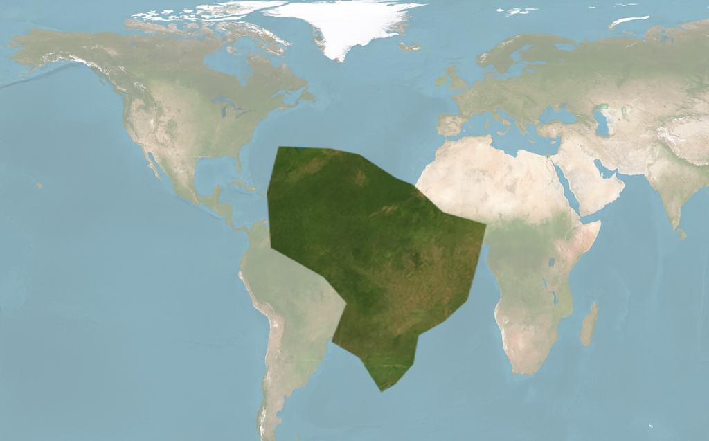 Sampled region selected and expanded.