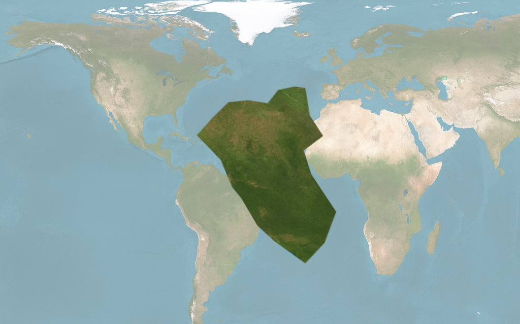 Rotated and adjusted patch composition.