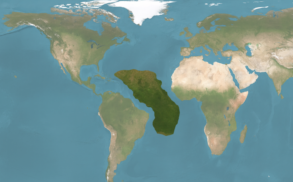 First-pass continent isolated from the base.