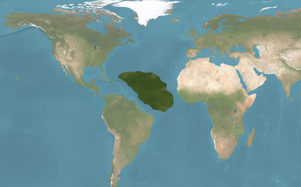 Oversized version positioned and flagged for reduction.